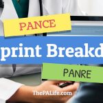 pance blueprint review